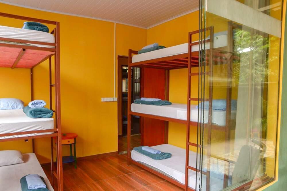Hostel Mpb Ilha Grande ภายนอก รูปภาพ