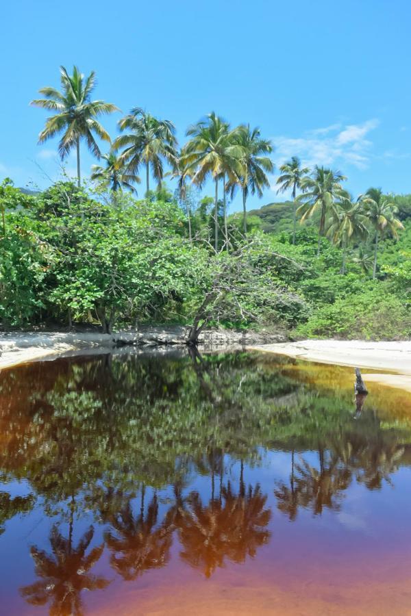 Hostel Mpb Ilha Grande ภายนอก รูปภาพ
